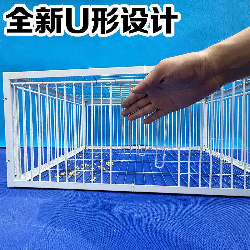新款加密鸽子撞门笼 自动撞门笼活络门信鸽进笼口进门自动门鸽笼