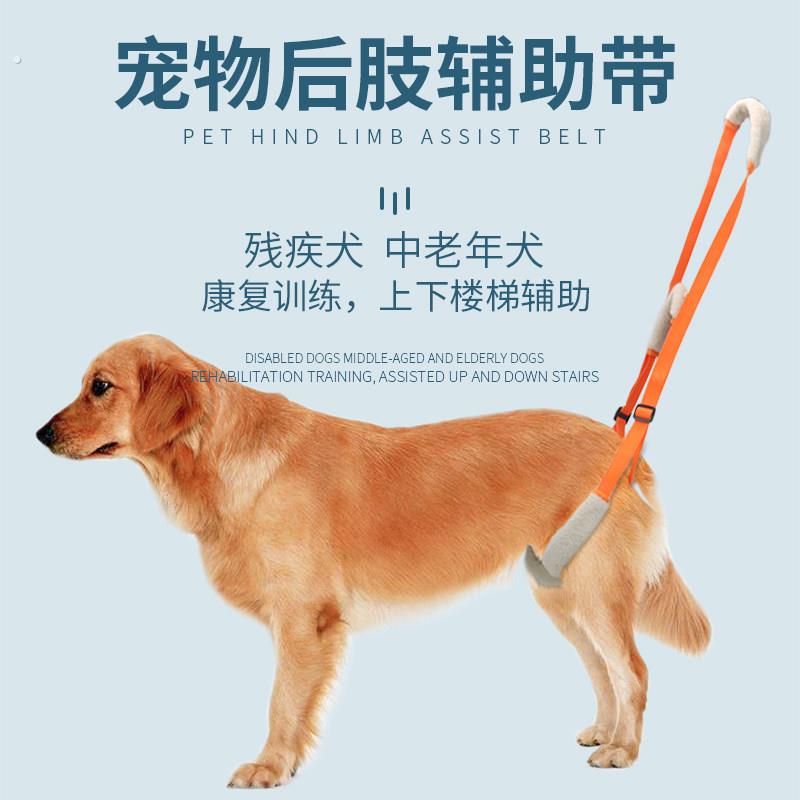 宠物腿部走路支架护腿残疾受伤高老龄猫狗楼梯辅助带可大小便康复