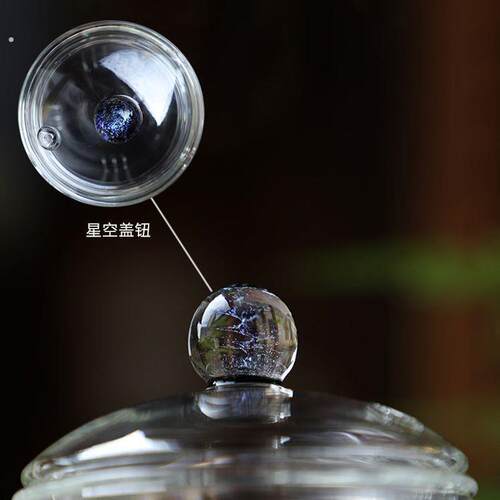 星空耐热玻璃提梁壶透明电陶炉蒸煮茶壶家用泡茶烧水壶单壶