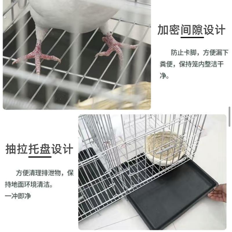 养鸽子专用笼白鸽养殖笼配对笼折叠组装繁殖笼加粗家用大号特大号