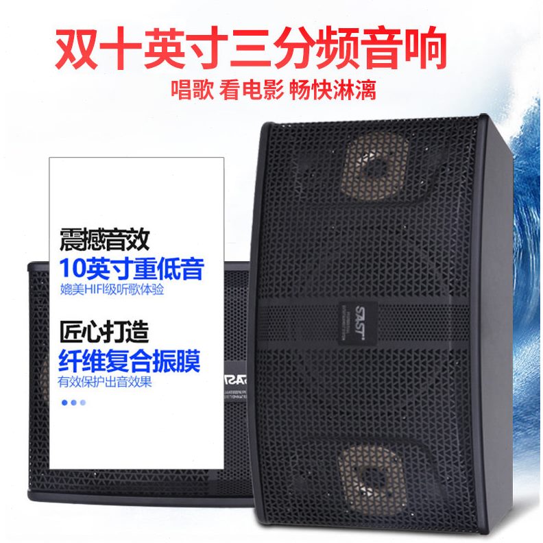 甄选先科（SAST）AV-312 音箱家庭影院KTV组合套装 会议音响 家用