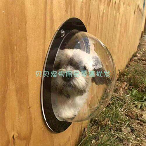 猫门自由出入门洞宠物猫咪小狗狗进出的门洞安装玻璃门窗木门铁门