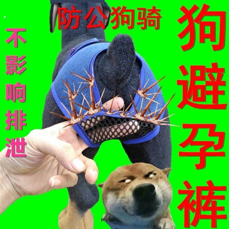 母狗防交配神器狗发情裤防交配裤避孕裤狗狗生理裤可排泄裤防骚扰