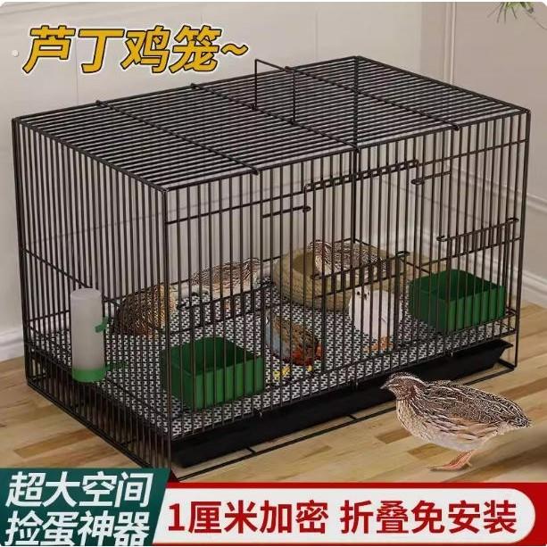 芦丁鸡专用养殖笼子家用加密大号芦丁鸡铁丝笼小鸡小鸭子鹌鹑鸟笼