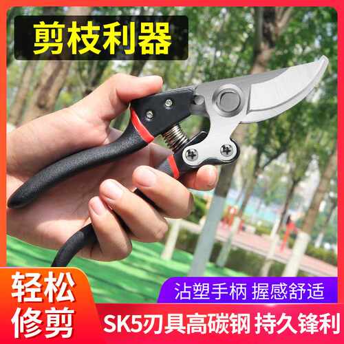 粗枝修枝剪园林工具 SK5省力剪枝剪树枝剪果枝剪果树家用盆景修剪