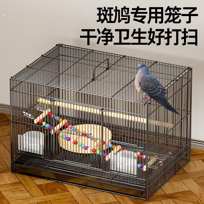 斑鸠专用笼子斑鸠鸟笼养殖笼子养斑鸠活鸟家养的笼子超大号繁殖窝