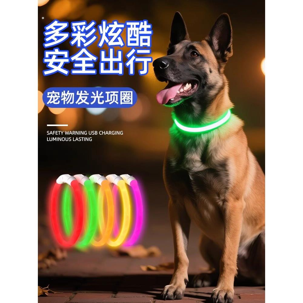 狗发光狗项圈宠物发光狗散步灯狗项圈夜间大狗小狗灯充电