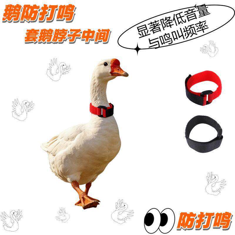 鸭鹅公鸡防打鸣颈圈止鸣神器杜绝引吭高鸣静音不扰民有效防鸣