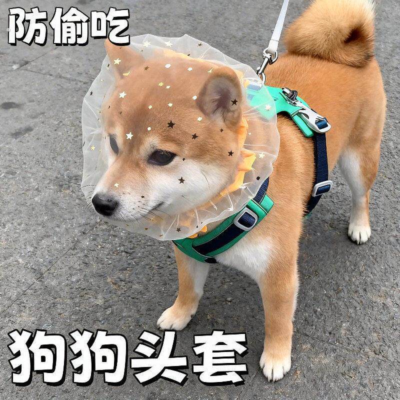 狗狗乱偷吃头套宠物项圈防乱舔防咬防投毒小狗网纱面罩透气嘴套