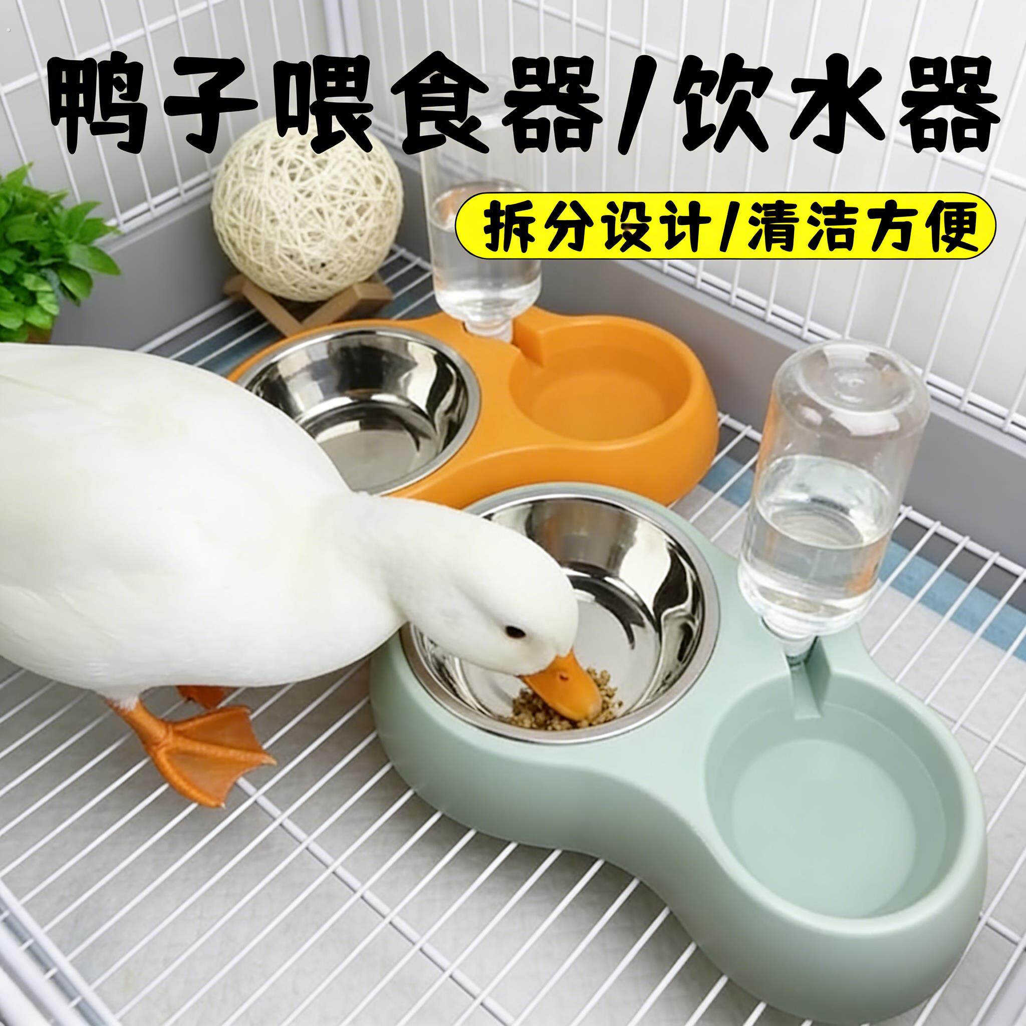 鸭子饮水器喂食器专用自动柯尔鸭喝水食槽自动喂食器水槽清洗方便