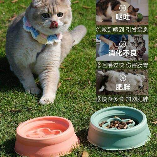 户外便携宠物折叠碗外出水杯狗碗专用双层不软塌遛狗遛猫露营出游