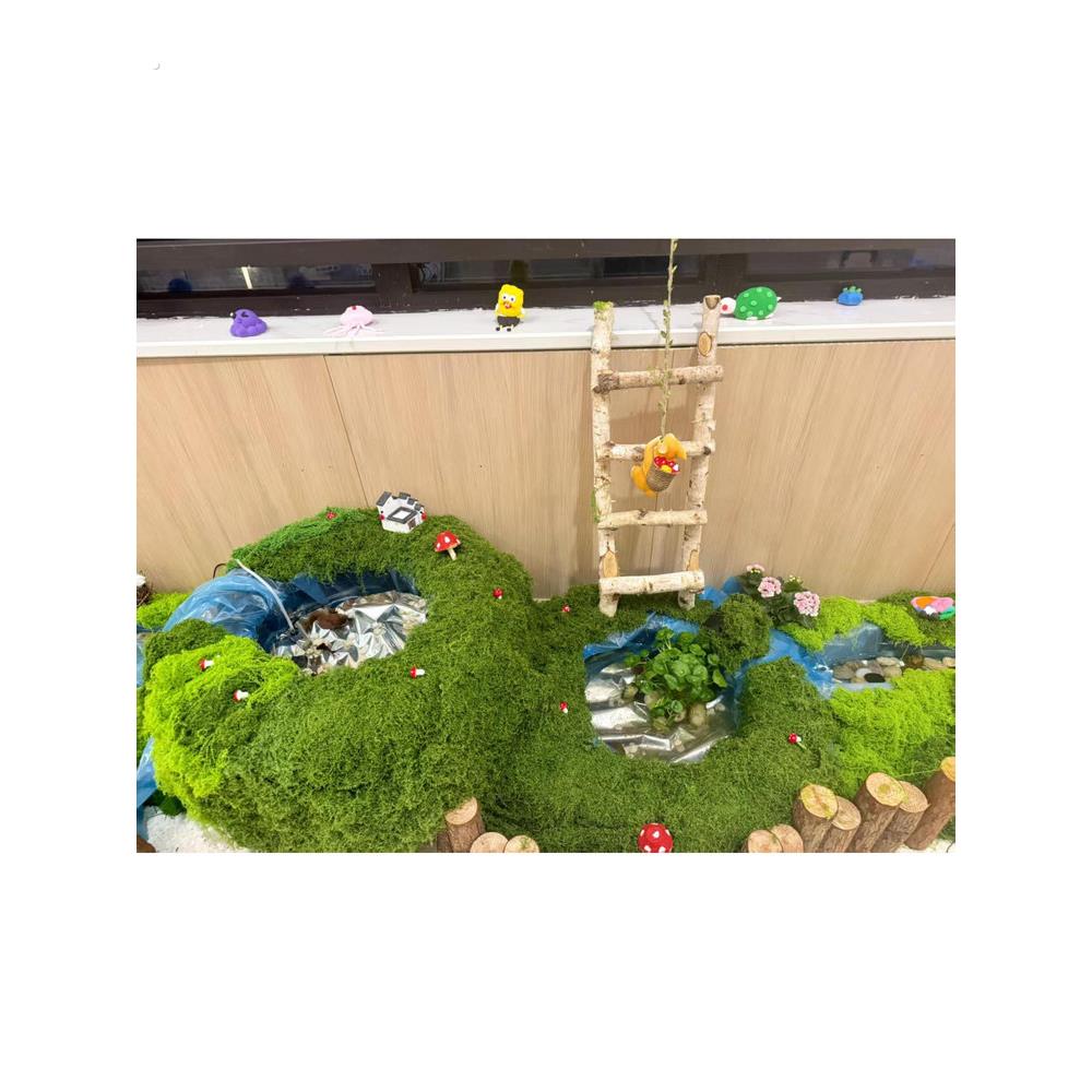 幼儿园永生苔藓室内环创造景网红氛围保育院彷真苔藓场景美陈布置