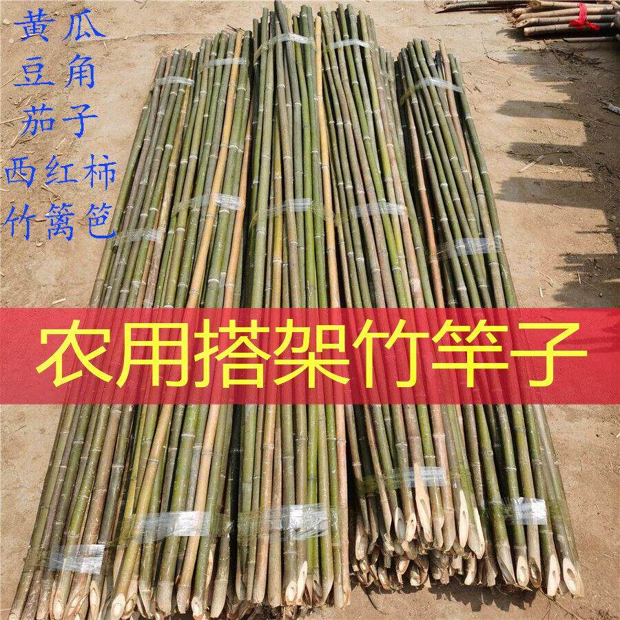 细竹竿棍子搭黄瓜架子四季豆角农用种菜园爬藤辣椒西红柿篱笆围挡