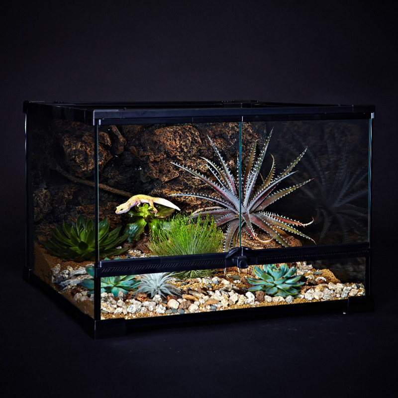 Reptizoo生态雨林缸水陆缸超白爬宠饲养箱玻璃热带植物造景玩酷缸