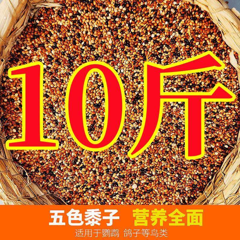 10大斤五色混合黍子虎皮牡丹玄凤鹦鹉鸟食糜谷子文鸟饲料鹦鹉鸟粮