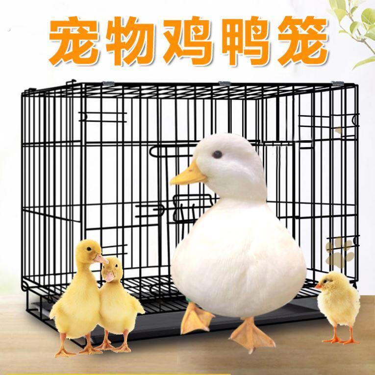养小鸡笼家用养鸡笼加密防鼠育雏笼养殖小鸭小鹅通用大容量宠物笼
