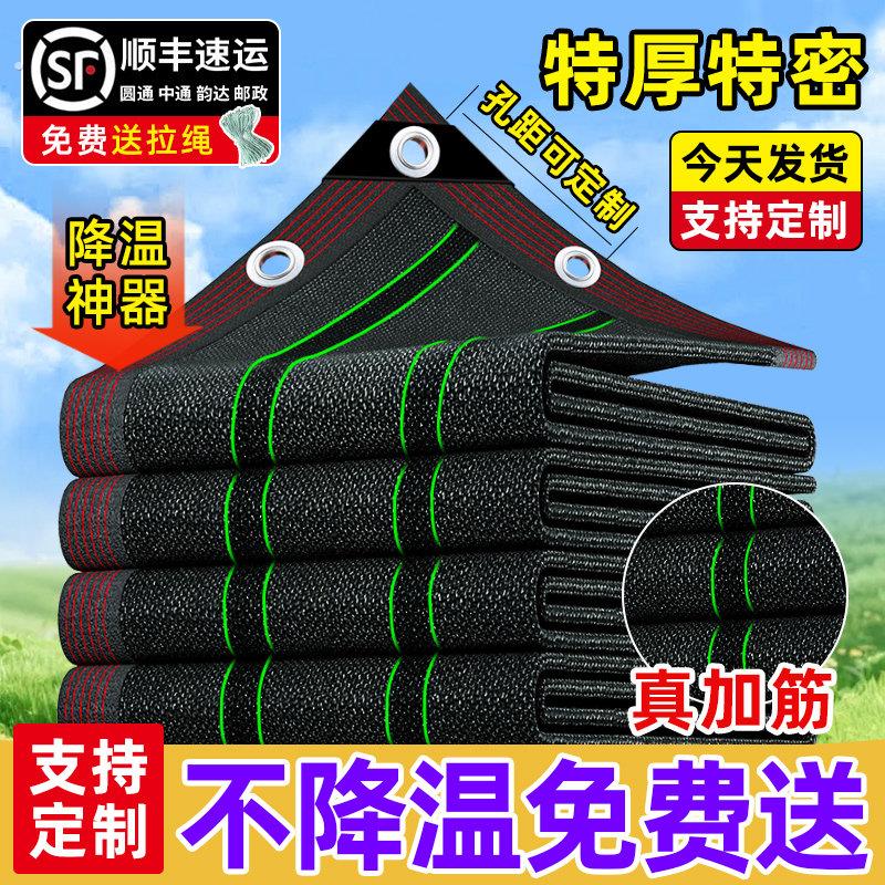 黑色遮阳网防老化加密加厚防晒隔热黑纱网大棚农用摭阳遮光太阳网