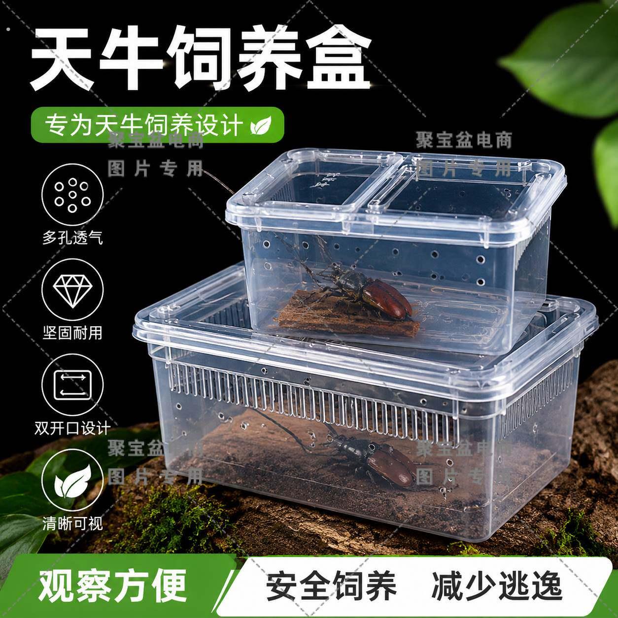 天牛饲养盒爬虫宠物蜗牛爬宠盒寄居蟹角蛙昆虫盒手提饲养箱采集盒