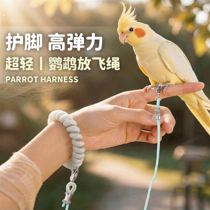 鹦鹉放飞绳不伤脚超轻牵引绳虎皮玄凤牡丹小太阳脚环脚炼遛鸟绳芰