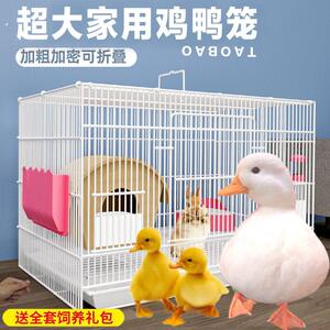柯尔鸭专用笼子大号饲养箱别墅笼家用养小鸭子芦丁鸡的房子窝鸭笼
