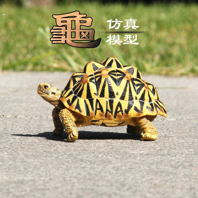 陆龟模型亚达苏卡达辐射黄缘彷真汽车客厅家俱办公室桌面装饰摆饰
