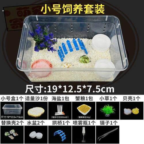 寄居蟹饲养盒子沙蟹饲养盒跳蛛饲养盒乌龟缸水陆两栖生态缸新手