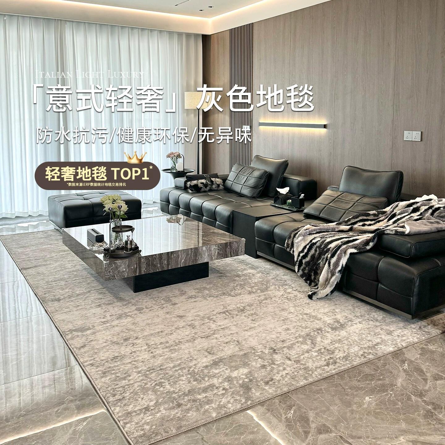 意式轻奢客厅地毯 2025新款家用卧室 防水沙发地毯现代简约风格