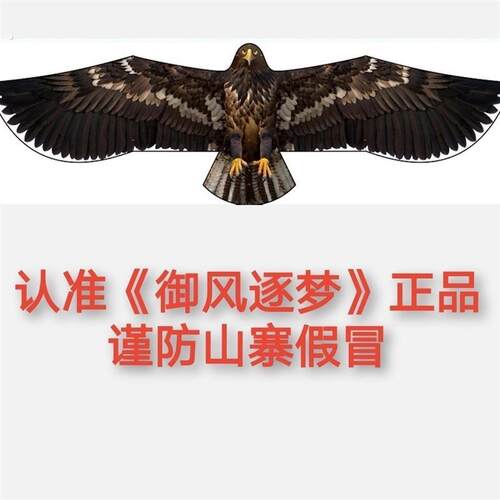 伞布碳杆大师级微风板鹰老鹰风筝