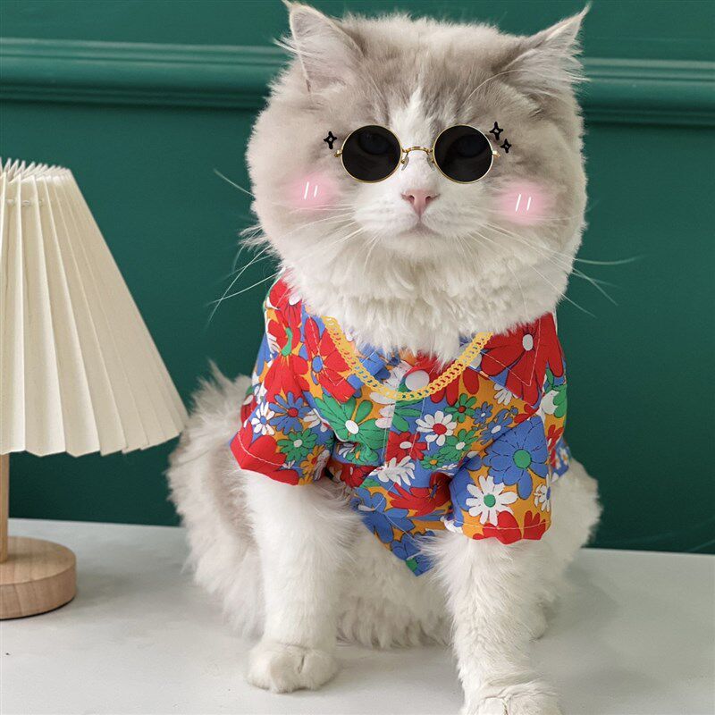 狗狗衬衫夏季薄款泰迪空调服猫咪防掉毛衣服大型犬拉布拉多衣服