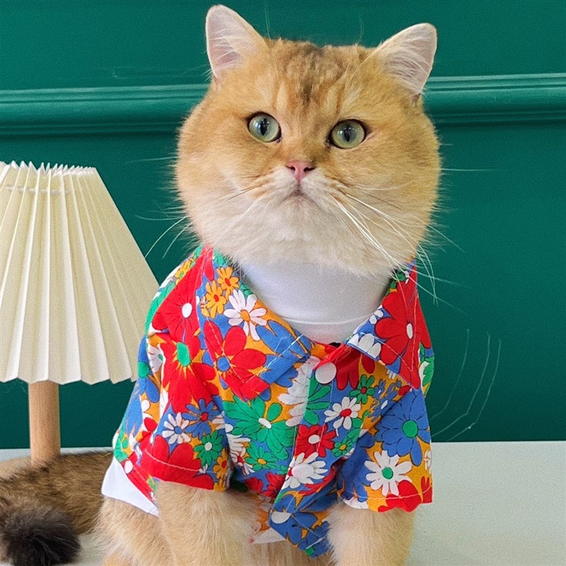 狗狗衬衫夏季薄款泰迪空调服猫咪防掉毛衣服大型犬拉布拉多衣服