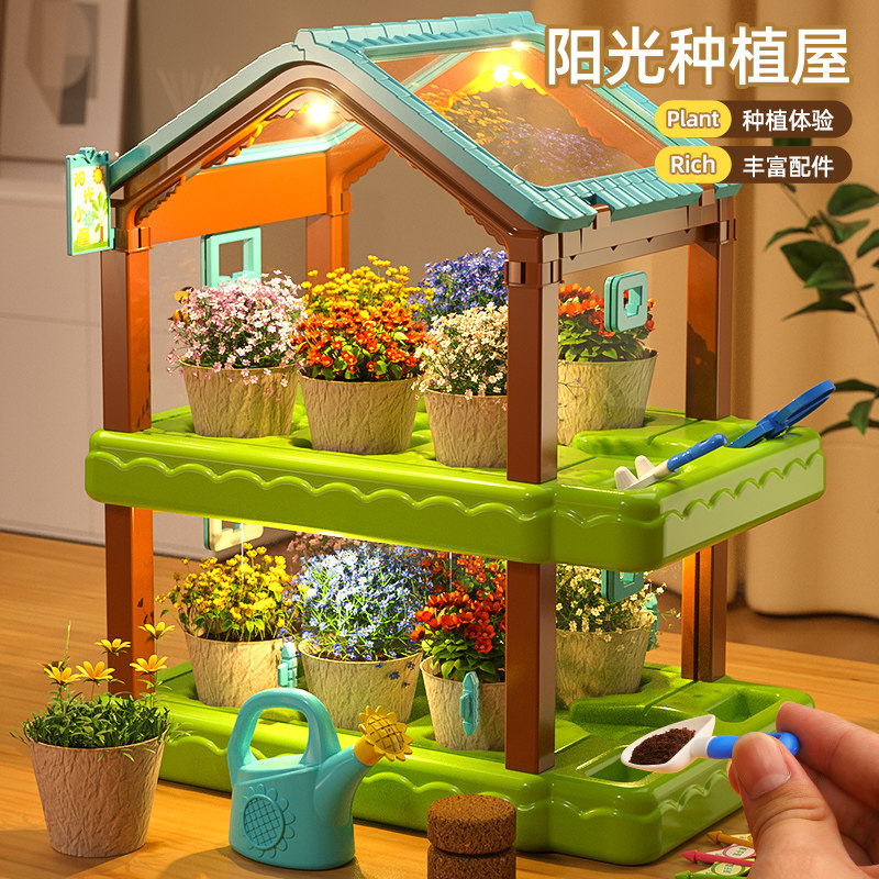 儿童种植迷你小盆栽幼儿园室内观察生长阳光房小农场种菜种花植物