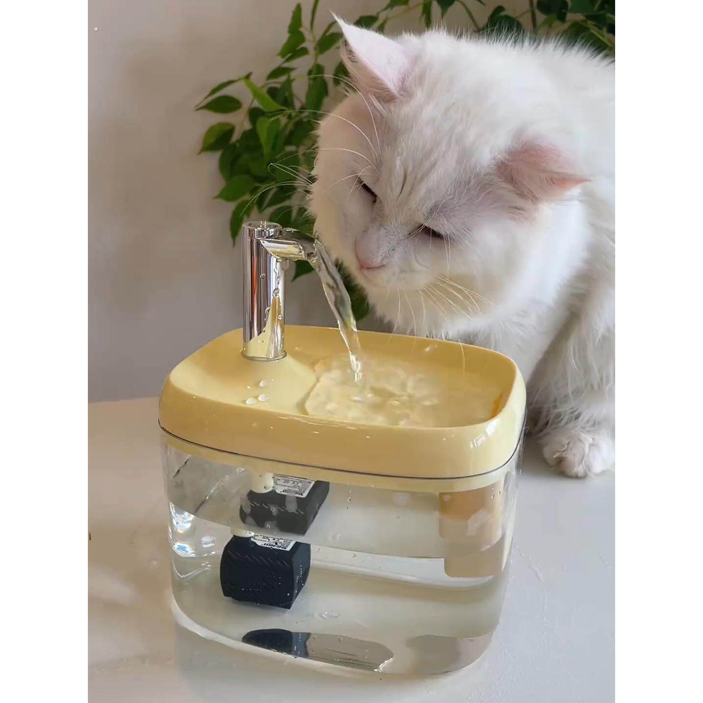 猫咪饮水机自动循环猫咪狗狗宠物静音饮水器用水碗水盆喂水喝水器