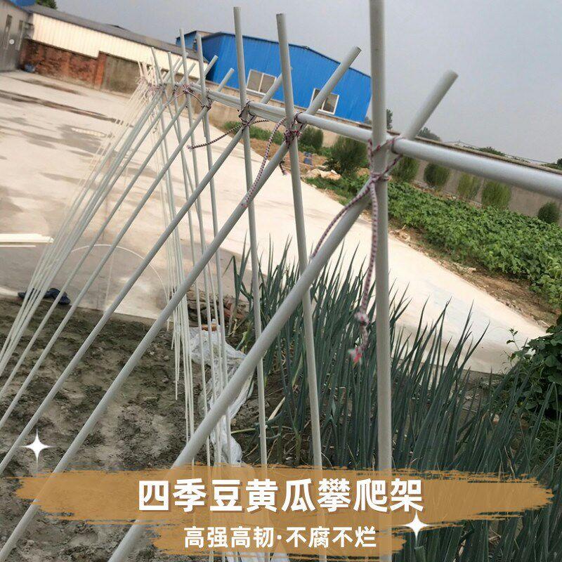 豆角黄瓜爬藤架家用农用豇豆架玻璃纤维杆玻璃钢小苗支撑杆棒架子