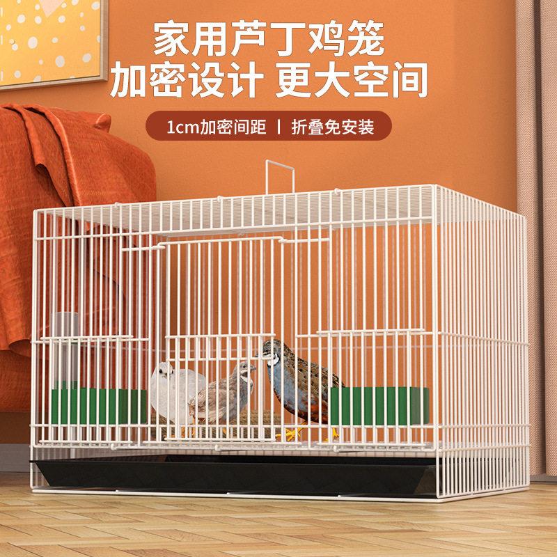 芦丁鸡专用笼加密小鸡笼雏鸡笼子鸭笼折叠鸡笼子家用养殖鹌鹑笼子