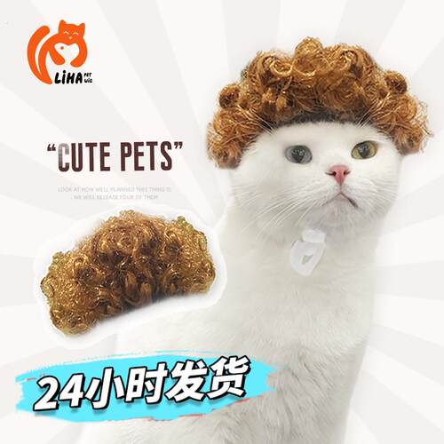 宠物假发狗狗假发猫咪假发宠物用品节日宠物饰品棕色小波浪爆炸