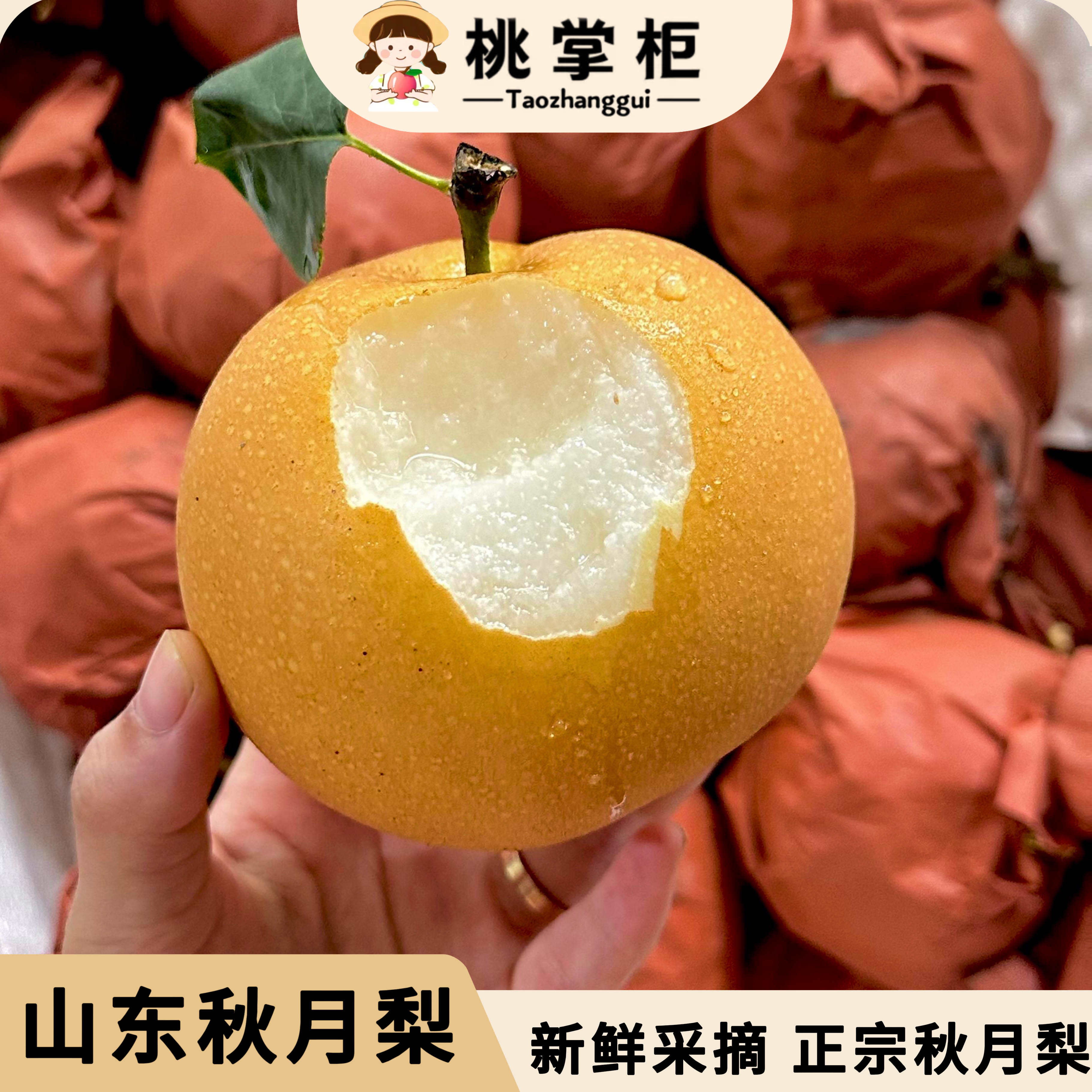 桃掌柜2026正宗山东秋月梨莱阳应季冰糖梨子现摘现发新鲜水果礼盒