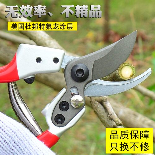 立锦园艺花剪修花剪刀花草省力修枝剪园林工具果园果树剪枝剪T717