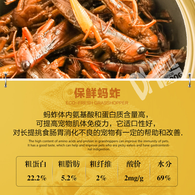 保鲜罐头水龟蜥蜴鬃狮粮角蛙守宫杜比亚蟑螂蟋蟀面包虫大麦虫活食图片