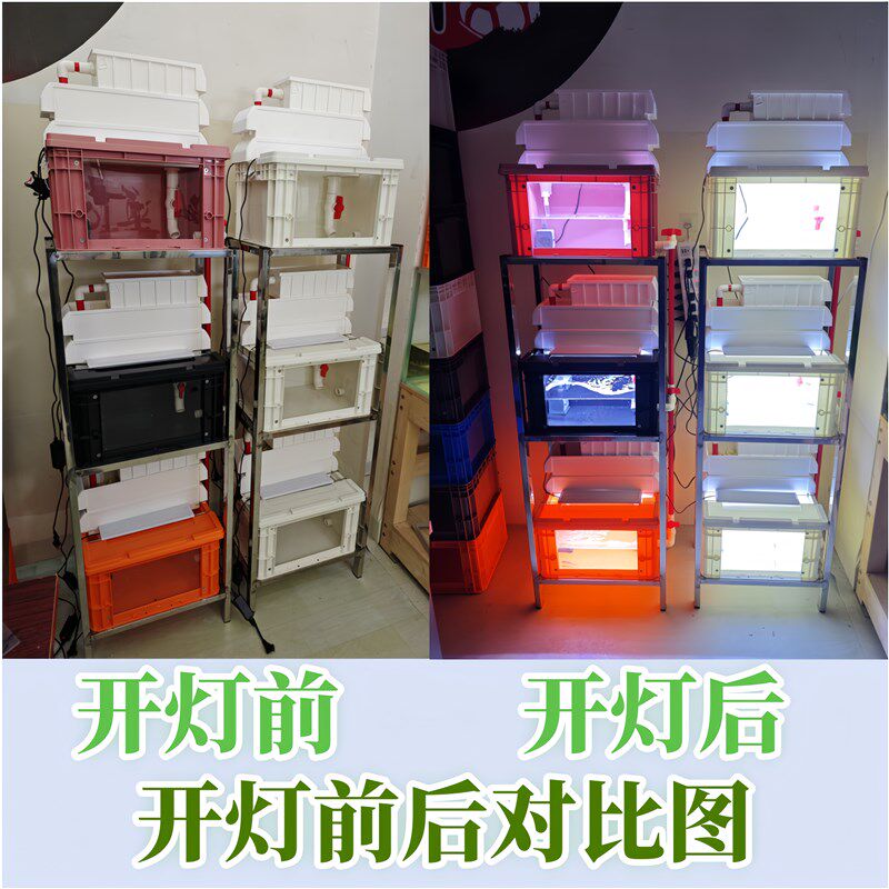 养龟箱透明视窗龟缸多层循环过滤养鱼箱鱼缸水族箱加厚周转箱乌龟