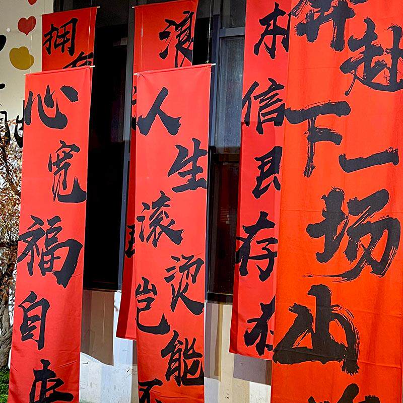 新年条幅新春蛇年挂布高级氛围感布置国风书法中式红色背景布装饰