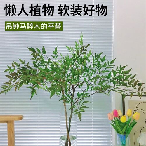 南天竹水培绿植火焰红水养盆栽室内雪柳鲜切枝马醉吊钟木平替植物