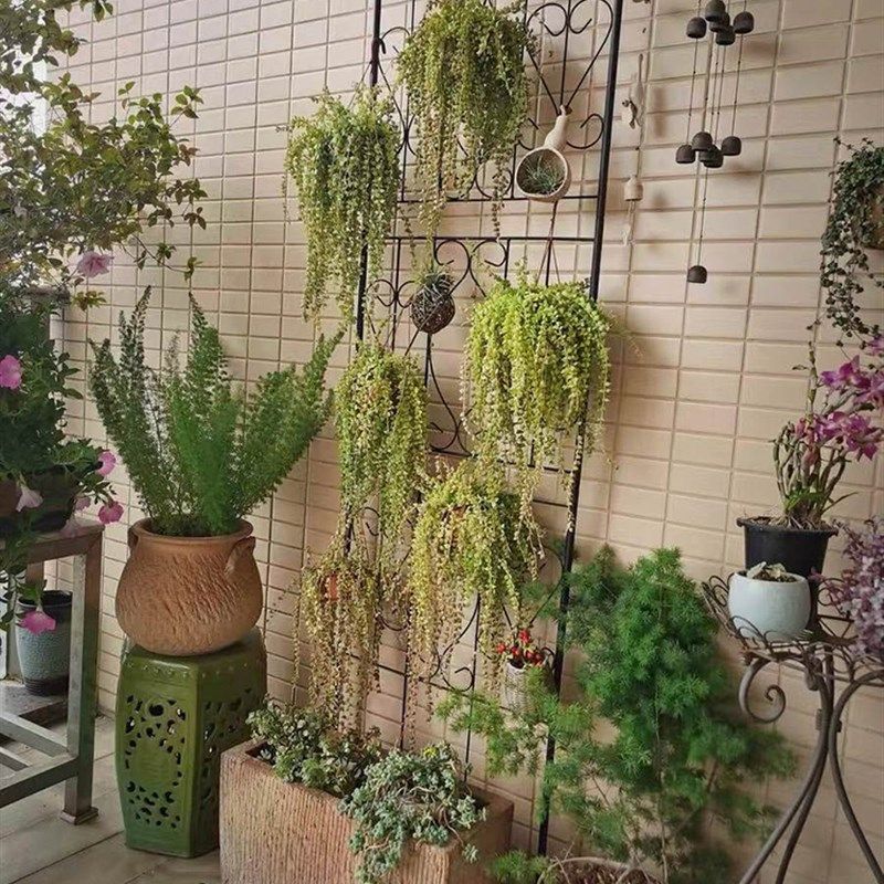 带底座阳台落地欧式屏风架室内庭院铁线莲花幕爬藤架园艺花架包邮
