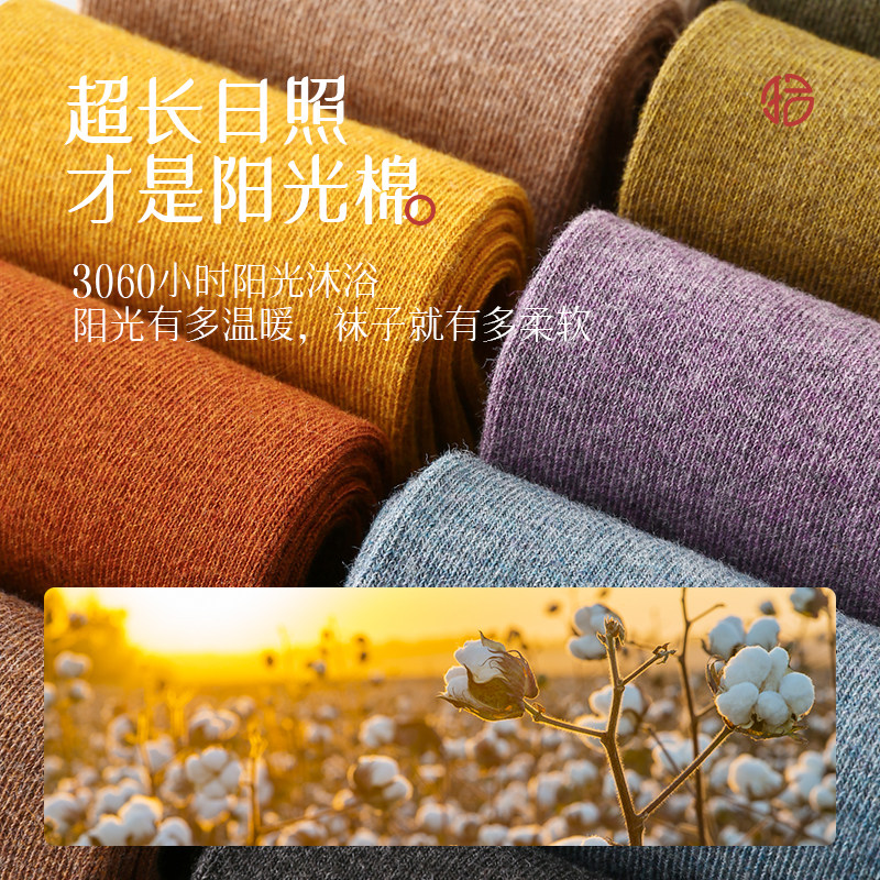 拾袜记袜子礼盒装节日礼物送长辈父母生日伴手礼仪式感送男女友