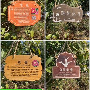 植树节树木挂牌花木介绍牌植物品名吊牌幼儿园认养防腐标识牌定制