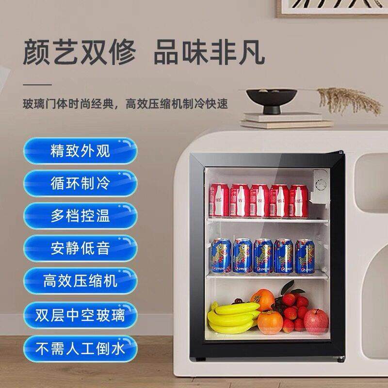 （MELING）冰吧家用50升冷柜水果护肤品小型商用冰柜冰吧
