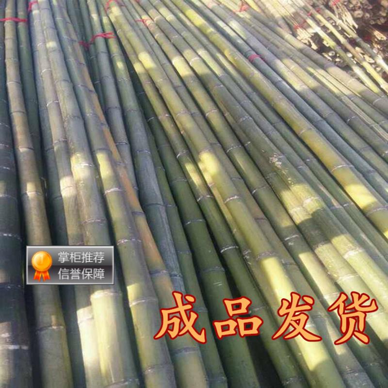 竹竿竹杆竹筒竹横幅毛竹竹子装潢防腐名宿搭架竹竿跳舞竹竿彩旗杆