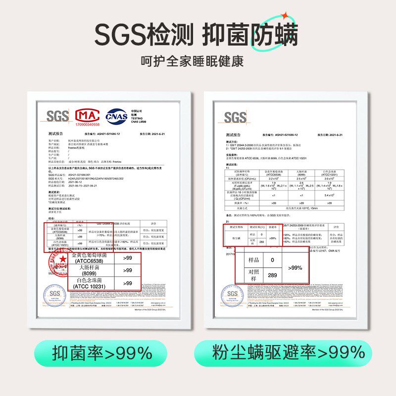 猫肚皮枕头护颈椎助睡眠睡觉专用泰国乳胶侧睡午休蚕豆枕头枕芯