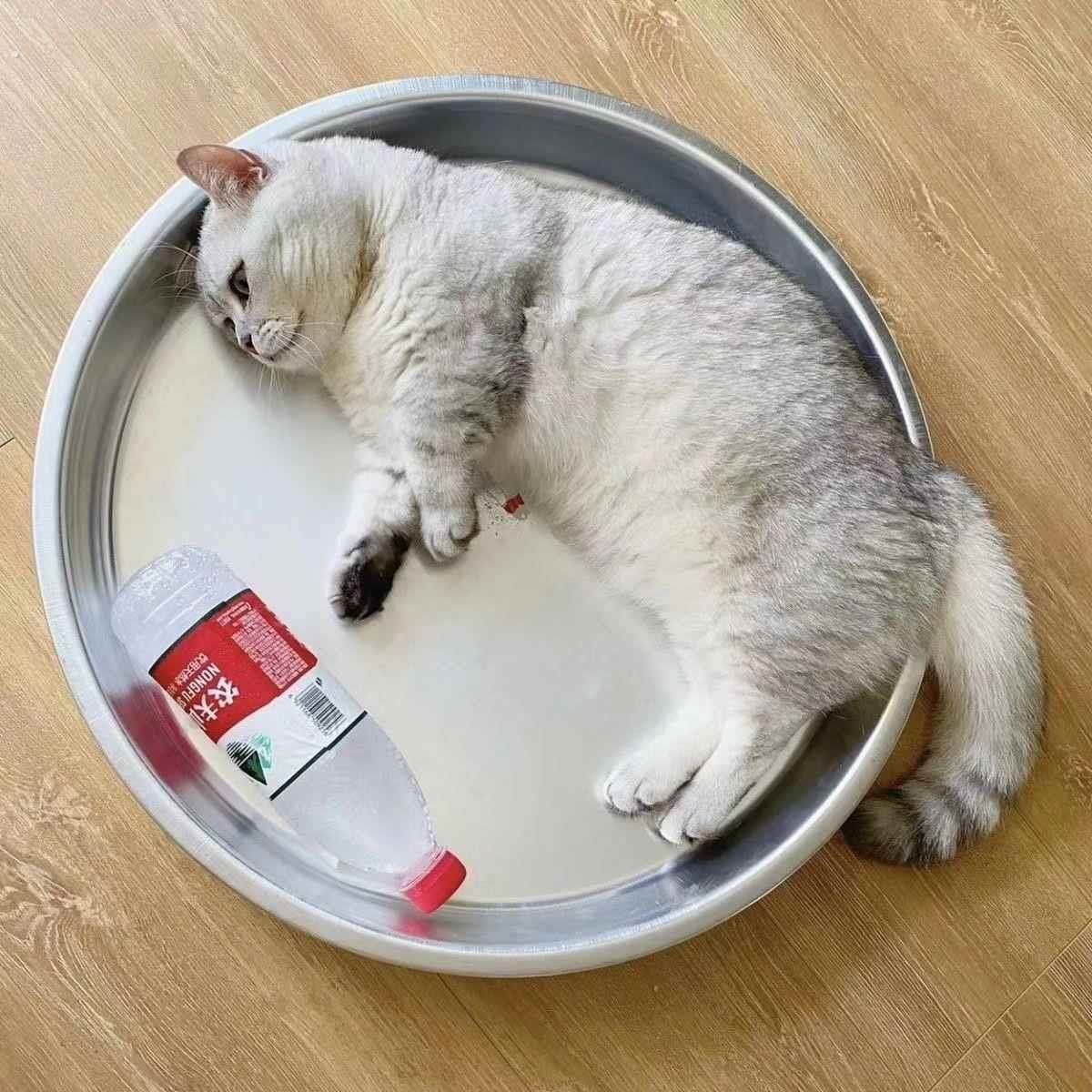 厂家铝盆猫窝特大号猫咪纯铝猫锅小型犬夏季冰凉宠物窝夏天冰垫