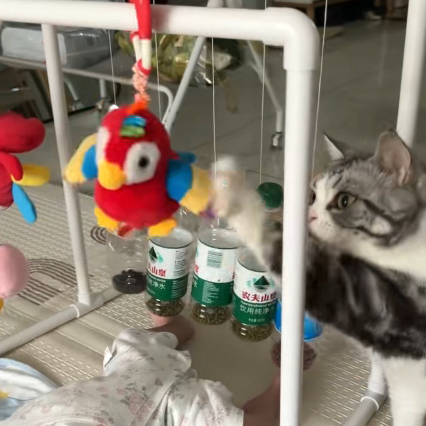 baby小鸟飞飞溜溜圈儿童手环啪啪圈宝宝安抚音乐讲故事玩具jolly6
