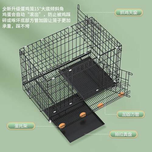 鸡笼养殖笼家用室内农村室外大号养鸡专用笼自动清粪鸡舍鸭鹅笼子